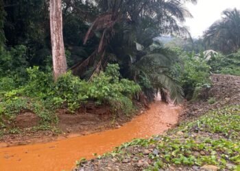 IMALAK Desak Usut PT GMS, Orang Kepercayaan Pemilik Mengaku Tak Tahu