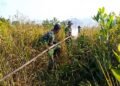 Cegah Api Meluas, TNI-Polri dan Damkar Padamkan Kebakaran Lahan Nanga-Nanga