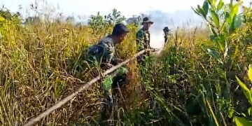 Cegah Api Meluas, TNI-Polri dan Damkar Padamkan Kebakaran Lahan Nanga-Nanga